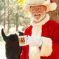 Enamel Christmas Cow Mug